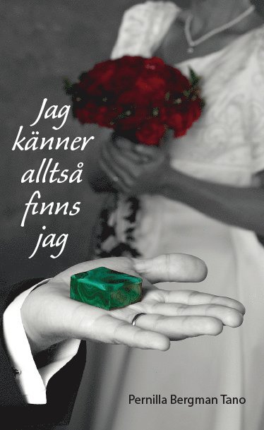 bokomslag Jag känner alltså finns jag