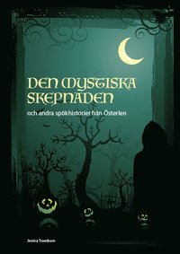 bokomslag Den mystiska skepnaden och andra spökhistorier från Österlen