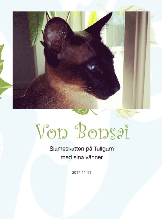 Von Bonsai : siameskatten på Tullgarn med sina vänner 1