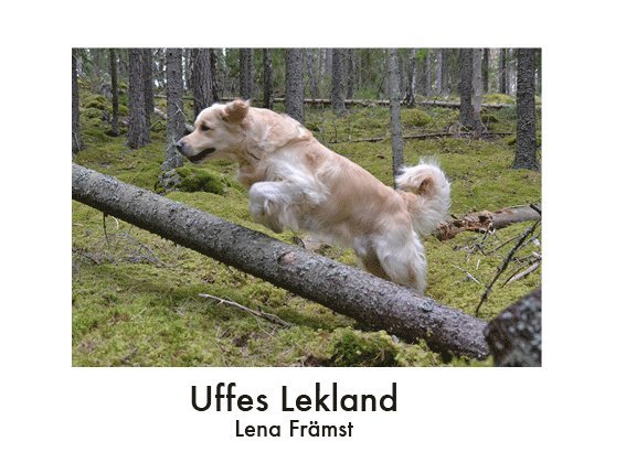 Lena Främst - Uffes lekland, Häftad