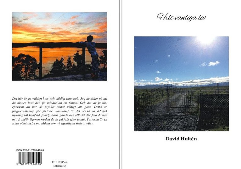 David Hultén - Helt vanliga liv, Häftad