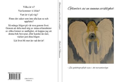 Gabriella Håkansson - Glimtar av en annan verklighet, Häftad