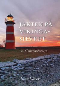 bokomslag Jakten på vikingasilvret : ett gotlandsäventyr
