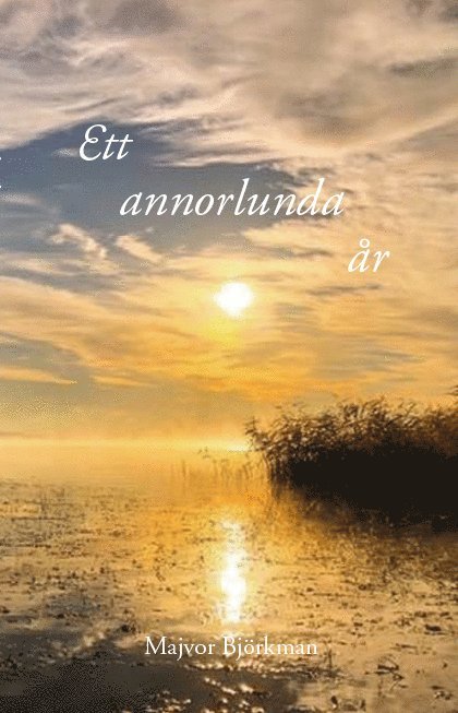 Ett annorlunda år 1