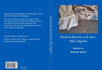 bokomslag Badrockarna och den Blå Fågeln