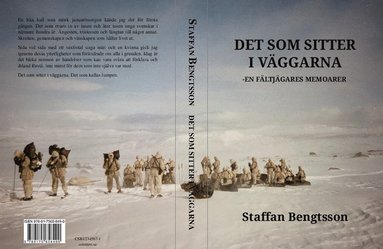 bokomslag Det som sitter i väggarna