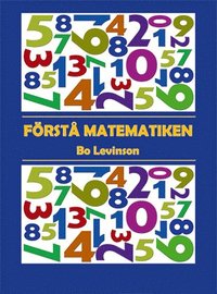 bokomslag Förstå matematiken