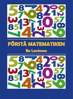 bokomslag Förstå matematiken
