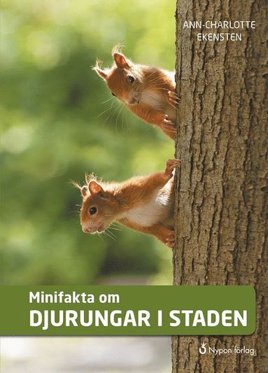 bokomslag Minifakta om djurungar i staden