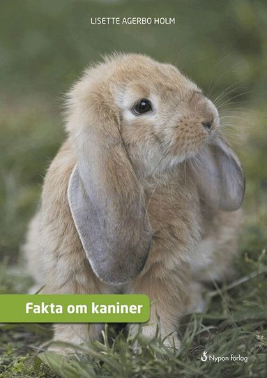 Lisette Agerbo Holm - Fakta om kaniner, Inbunden