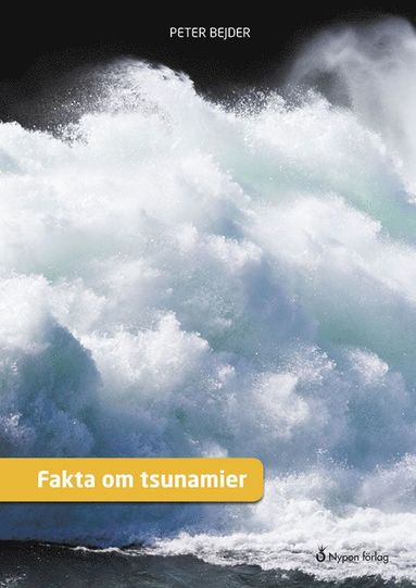 bokomslag Fakta om tsunamier