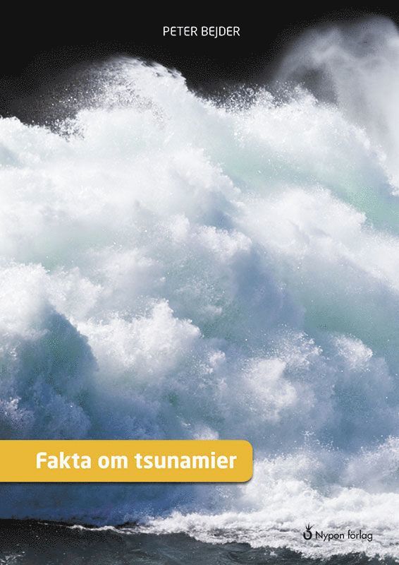Fakta om tsunamier 1