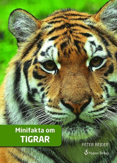 bokomslag Minifakta om tigrar