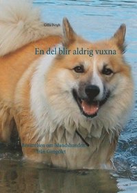 bokomslag En del blir aldrig vuxna : berättelsen om Islandshunden från Gimgölet
