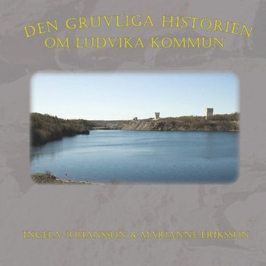 bokomslag Den gruvliga historien om Ludvika kommun :