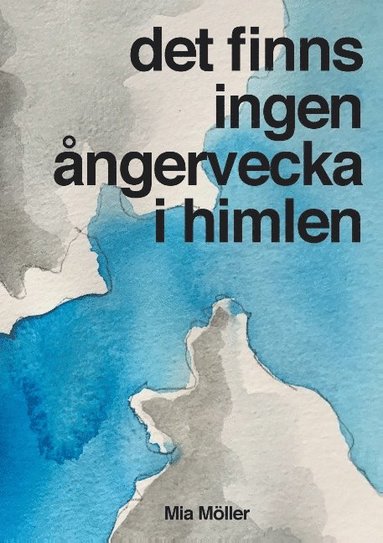 bokomslag Det finns ingen ångervecka i himlen