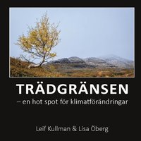 bokomslag Trädgränsen: en hot spot för klimatförändringar