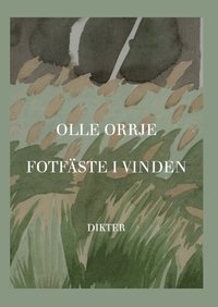 bokomslag Fotfäste i vinden : Dikter