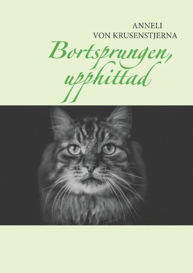 bokomslag Bortsprungen, upphittad