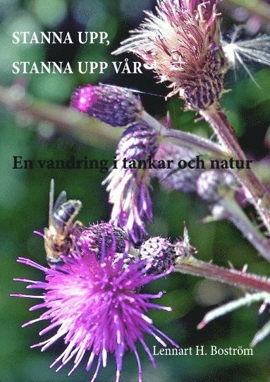 bokomslag Stanna upp, stanna upp vår : en vandring i tankar och natur