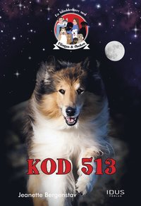 bokomslag Kod 513