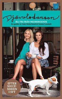 bokomslag Djävulsdansen : bli fri från medberoende