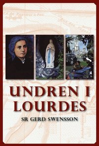 bokomslag Undren i Lourdes