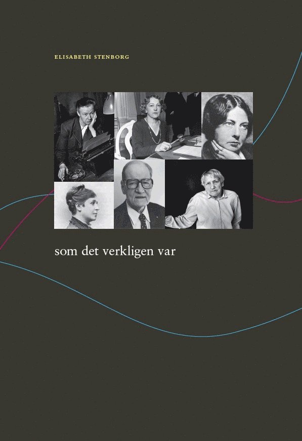 Elisabeth Stenborg - Som det verkligen var, Häftad