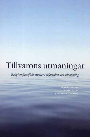 bokomslag Tillvarons utmaningar : religionsfilosofiska studier i erfarenhet, tro och mening