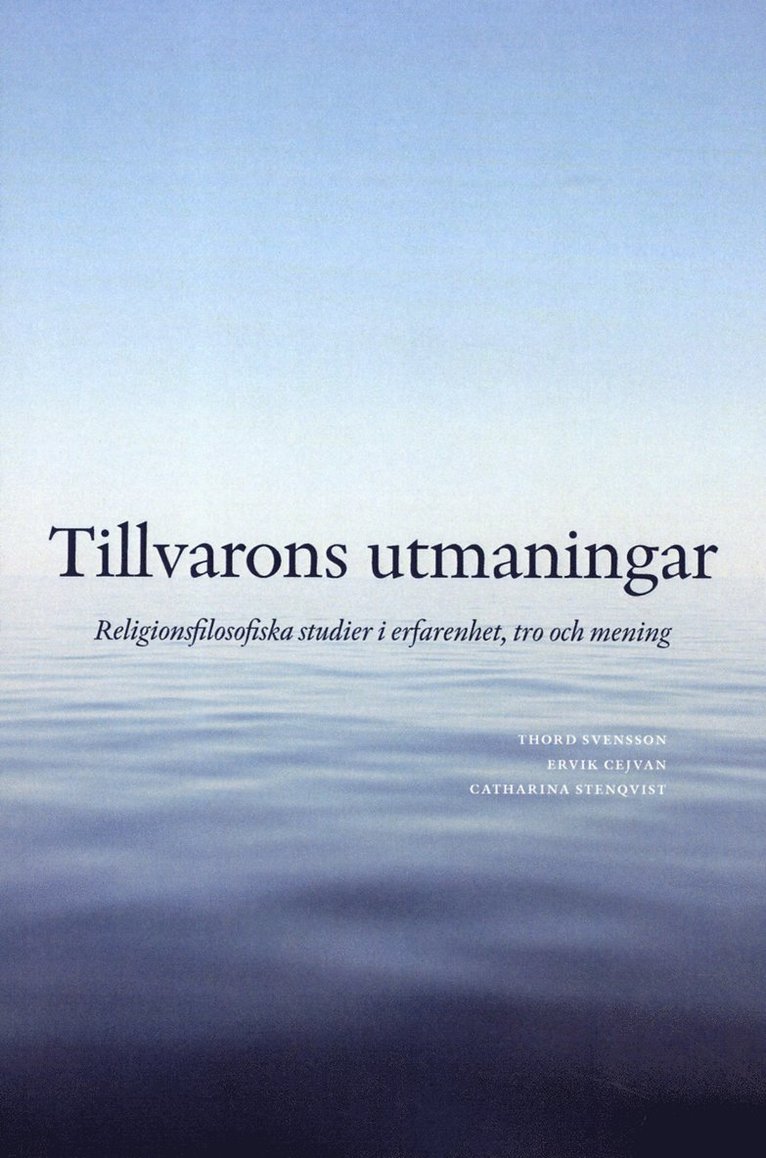 Tillvarons utmaningar : religionsfilosofiska studier i erfarenhet, tro och mening