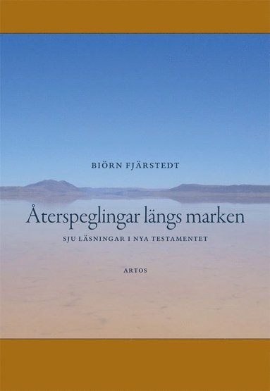 bokomslag Återspeglingar längs marken : sju läsningar i Nya testamentet