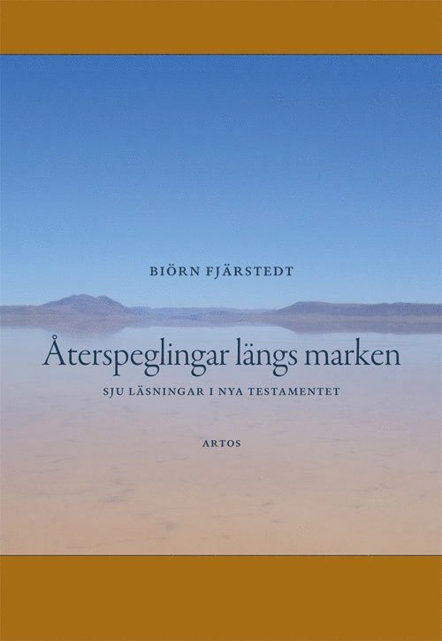 Återspeglingar längs marken : sju läsningar i Nya testamentet 1