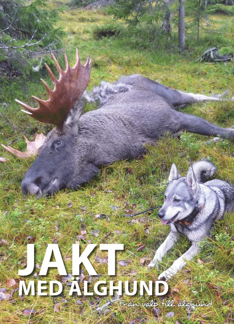 Rolf Westerberg - Jakt med älghund : från valp till älghund, Inbunden