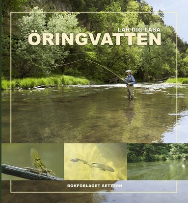 Dave Hughe - Lär dig läsa öringvatten, Inbunden