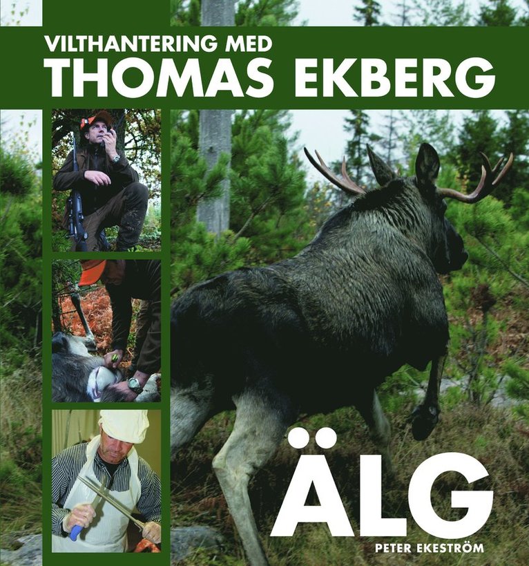 Vilthantering med Thomas Ekberg : älg 1