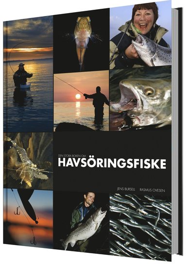 bokomslag Den stora boken om havsöringsfiske