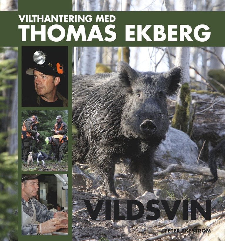 Vilthantering med Thomas Ekberg : vildsvin 1