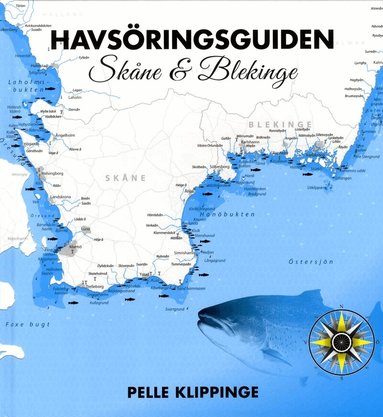 Pelle Klippinge - Havsöringsguiden. Skåne & Blekinge, Inbunden