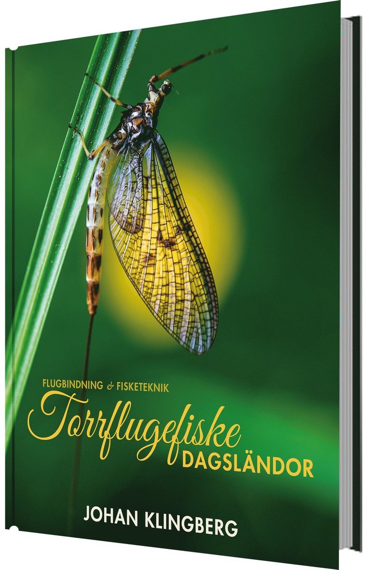 Torrflugefiske : dagsländor 1