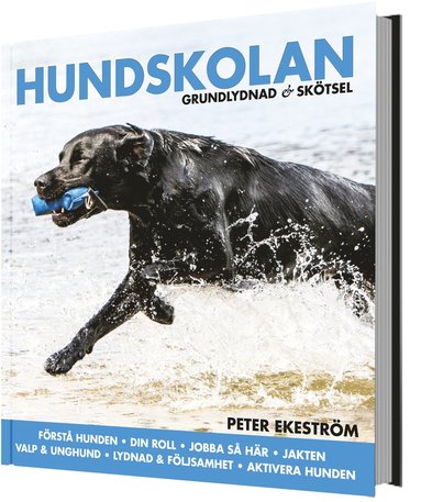 bokomslag Hundskolan : grundlydnad & skötsel
