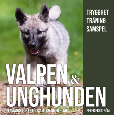 bokomslag Valpen & unghunden : teamwork för en följsam och trygg hund