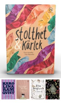 bokomslag Stolthet och kärlek - fyra noveller