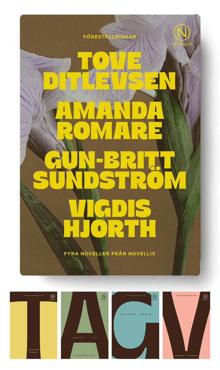 Amanda Romare, Gun-Britt Sundström, Tove Ditlevsen, Vigdis Hjorth - Föreställningar - fyra noveller, Häftad