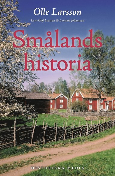 bokomslag Smålands historia