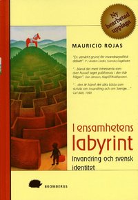 bokomslag I Ensamhetens Labyrint : Invandring Och Svensk Identitet