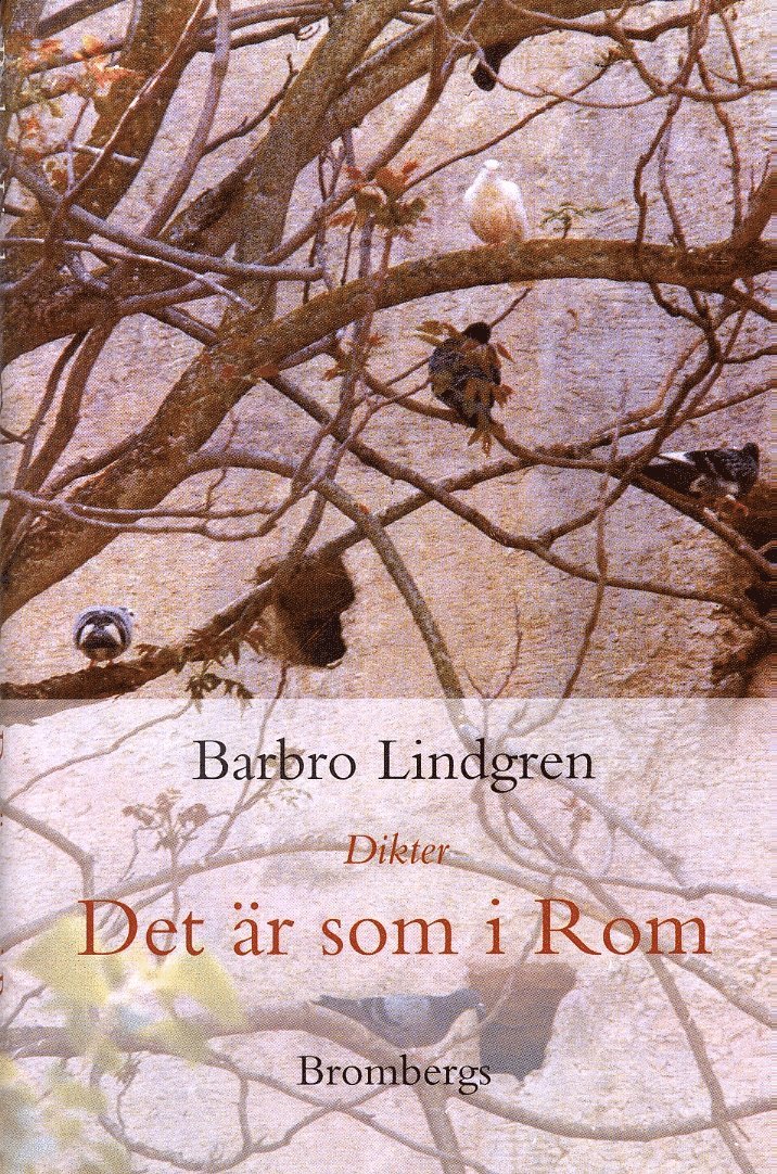 Det är som i Rom : Dikter 1