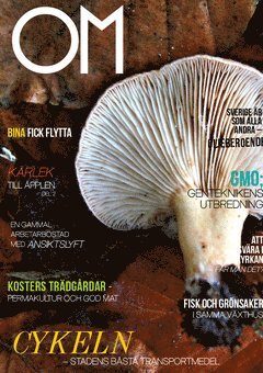 OM 1(2013)