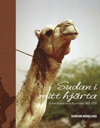 bokomslag Sudan i mitt hjärta : en berättelse om kulturmöten 1982-2010