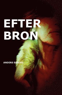 Anders Ekberg - Efter bron, Häftad