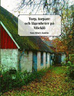 Torp, torpare och lägenheter på Möcklö : torpinventering i praktiken